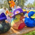 4. W�rschnitzthaler Entenrennen - Bild 34 von 50
